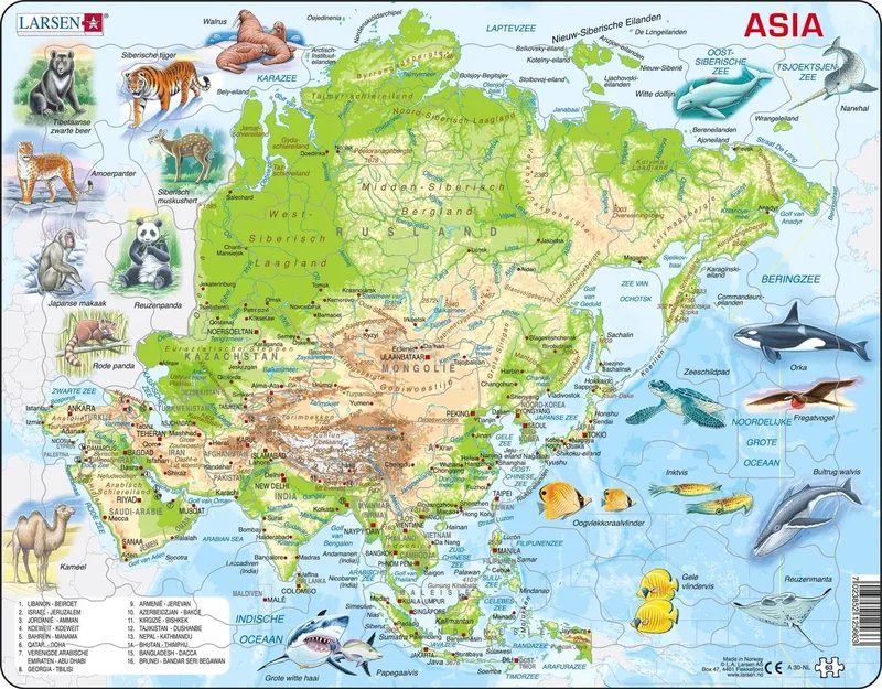 Azië geografisch met dieren – Puzzel – Kaarten & Geografie – Azië – Educatieve legpuzzel voor kinderen – 63 stukjes – Gemaakt in Noorwegen – Extra dikke 2,5 mm stukjes – Tray met vaste rand von Larsen, Ausgabe 63 Stukjes – Azië met dieren – Schachtel