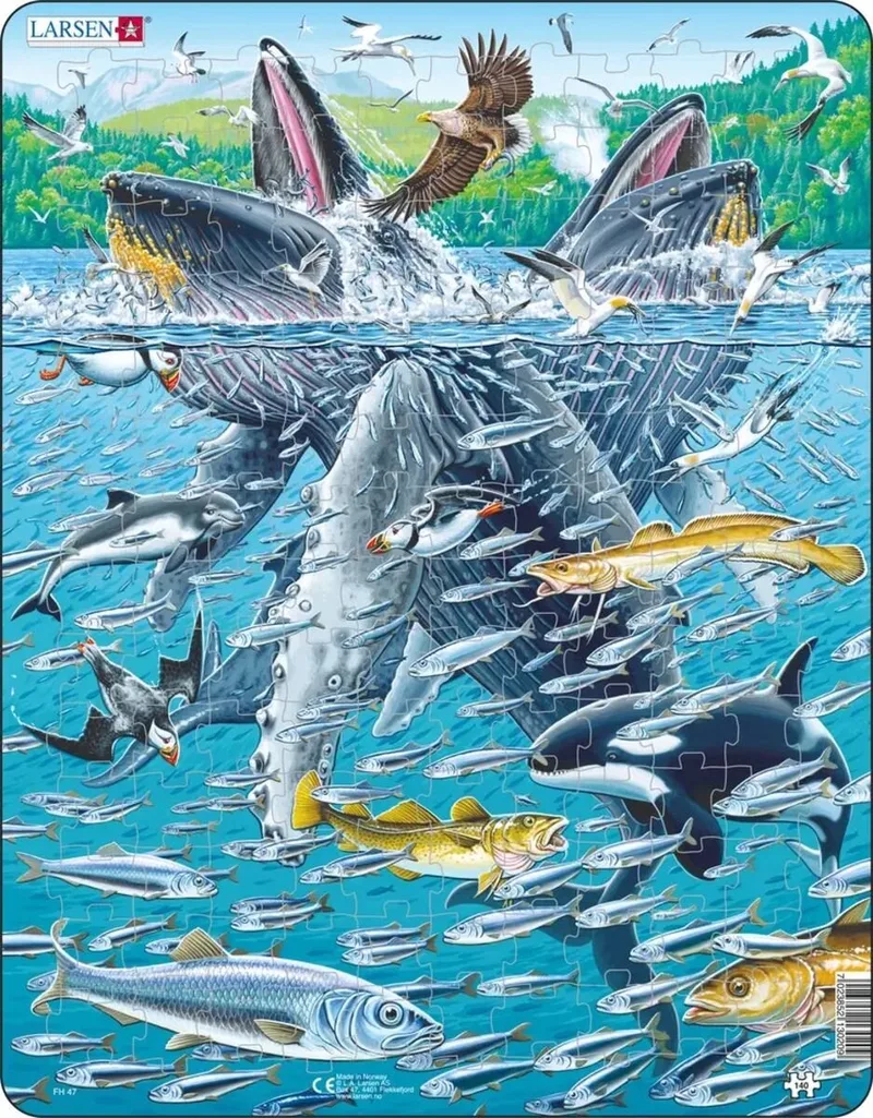 Bultruggen – Puzzel – Dieren – Oceaan – Educatieve legpuzzel voor kinderen – 140 stukjes – Gemaakt in Noorwegen – Extra dikke 2,5 mm stukjes – Tray met vaste rand von Larsen, Ausgabe 140 Stukjes – Bultruggen – Schachtel