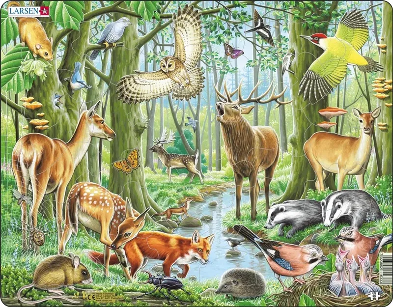 Een bloeiend Europees bos – Puzzel – Dieren – Europa – Educatieve legpuzzel voor kinderen – 40 stukjes – Gemaakt in Noorwegen – Extra dikke 2,5 mm stukjes – Tray met vaste rand from Larsen, 40 Stukjes – Een bloeiend Europees bos edition – box
