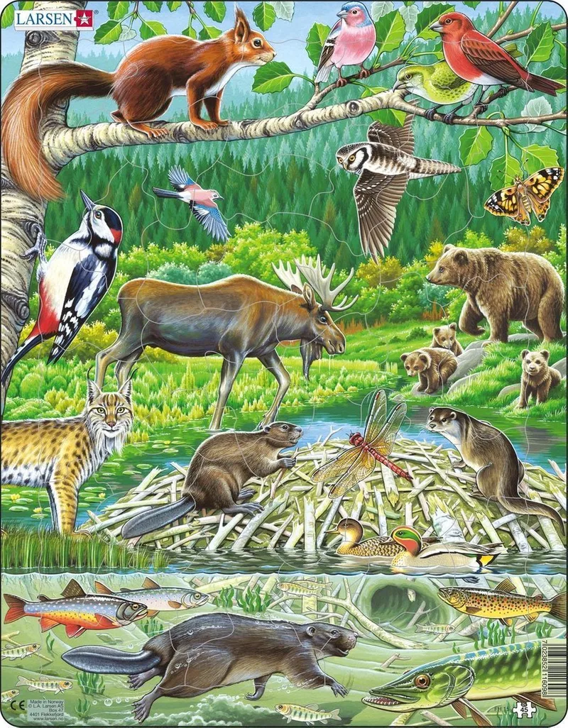 Een zomerdag in een Scandinavisch bos – Puzzel – Dieren – Scandinavische bossen – Educatieve legpuzzel voor kinderen – 45 stukjes – Gemaakt in Noorwegen – Extra dikke 2,5 mm stukjes – Tray met vaste rand van Larsen, editie 45 Stukjes – Een zomerdag in een Scandinavisch bos – doos
