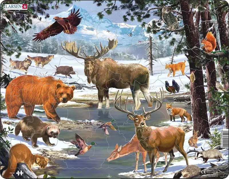 Maxi FH32 Vormpuzzel 54 stuk(s) Flora & fauna from Larsen, Multicolour edition – box