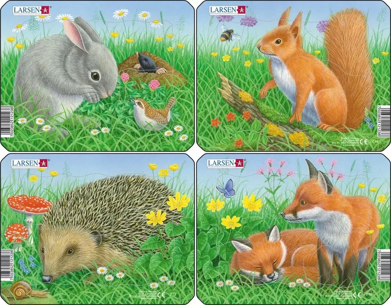 Mini Z12 Vormpuzzel 5 stuk(s) Flora & fauna from Larsen, Multicolour edition – box