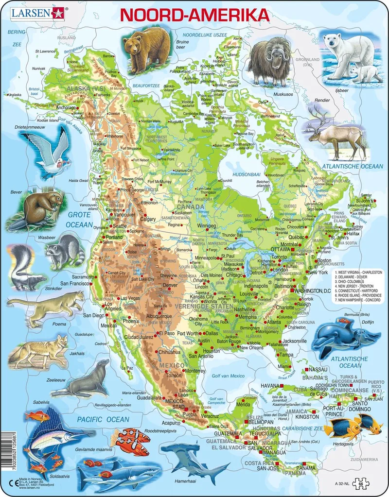 Noord-Amerika geografisch met dieren – Puzzel – Kaarten & Geografie – Noord-Amerika – Educatieve legpuzzel voor kinderen – 66 stukjes – Gemaakt in Noorwegen – Extra dikke 2,5 mm stukjes – Tray met vaste rand from Larsen, 66 Stukjes – Noord-Amerika met dieren edition – box