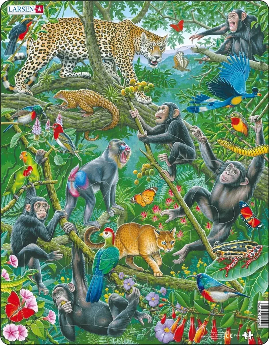 Puzzles Puzzle Afrikanischer Regenwald - 32-teilig Maxi 3 2D Puzzles von Larsen, Ausgabe Afrikaans regenwoud – Schachtel