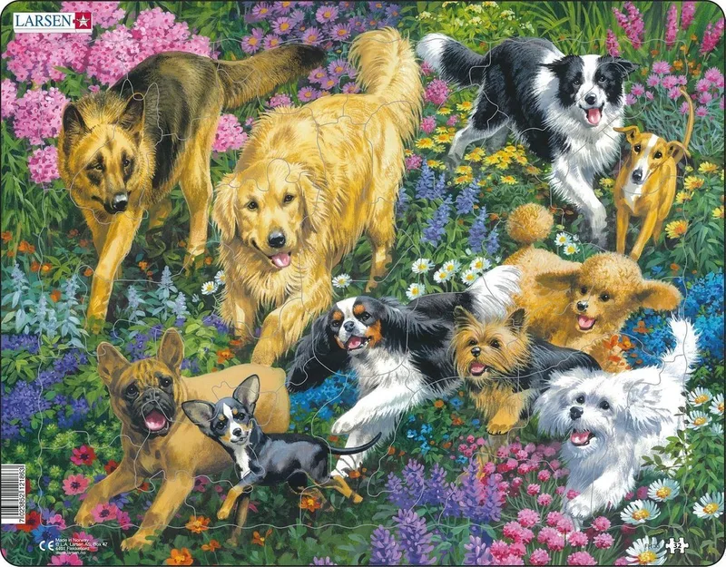 Puzzel – Dieren – Honden – Educatieve legpuzzel voor kinderen – 32 stukjes – Gemaakt in Noorwegen – Extra dikke 2,5 mm stukjes – Tray met vaste rand von Larsen, Ausgabe Honden in een veld met bloemen – Schachtel