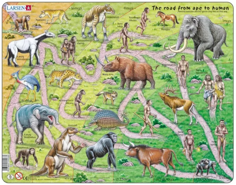 Puzzle Puzzle Cadre - The Road From Ape to Human (en Anglais) - 51 à 99 pièces from Larsen – box