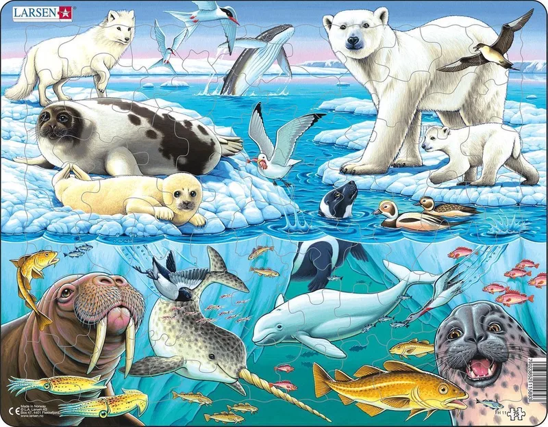 Wilde dieren op en rond een Arctische ijsberg – Puzzel – Dieren – Pooldieren – Educatieve legpuzzel voor kinderen – 75 stukjes – Gemaakt in Noorwegen – Extra dikke 2,5 mm stukjes – Tray met vaste rand van Larsen, editie 75 Stukjes – Wilde dieren op en rond een Arctische ijsberg – doos