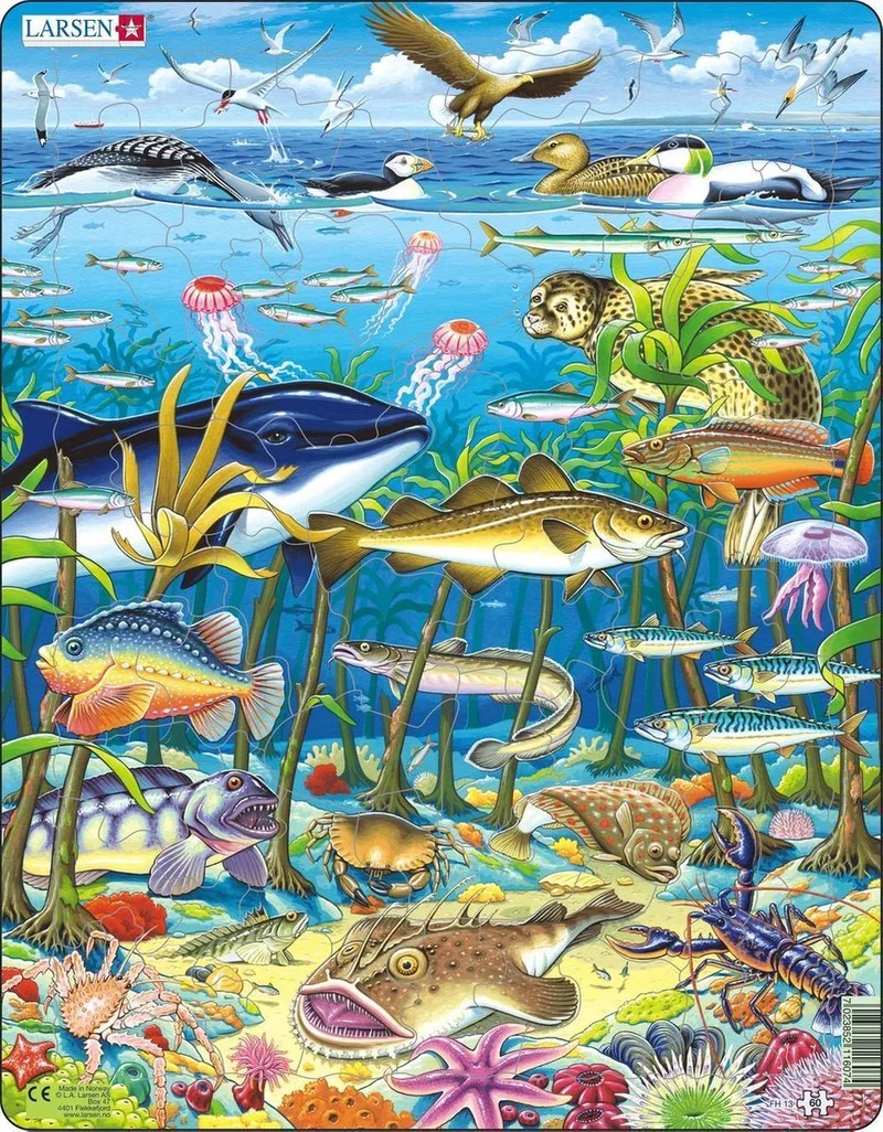 Zeedieren in de Noord Atlantische Oceaan – Puzzel – Dieren – Zeedieren – Educatieve legpuzzel voor kinderen – 60 stukjes – Gemaakt in Noorwegen – Extra dikke 2,5 mm stukjes – Tray met vaste rand fra Larsen, 60 Stukjes – Zeedieren in de Noord Atlantische Oceaan-udgave – æske