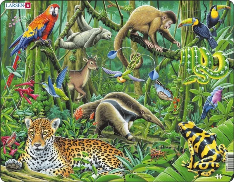 Zuid-Amerikaans regenwoud – Puzzel – Dieren – Regenwoud – Educatieve legpuzzel voor kinderen – 70 stukjes – Gemaakt in Noorwegen – Extra dikke 2,5 mm stukjes – Tray met vaste rand from Larsen, 70 Stukjes – Zuid-Amerikaans regenwoud edition – box