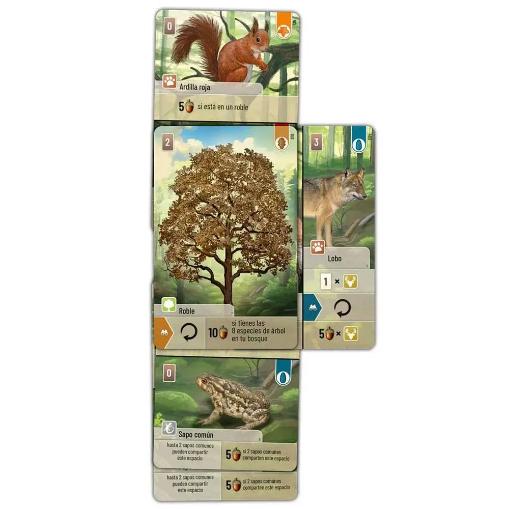 Forest Shuffle Brætspil fra Lookout Games – æske