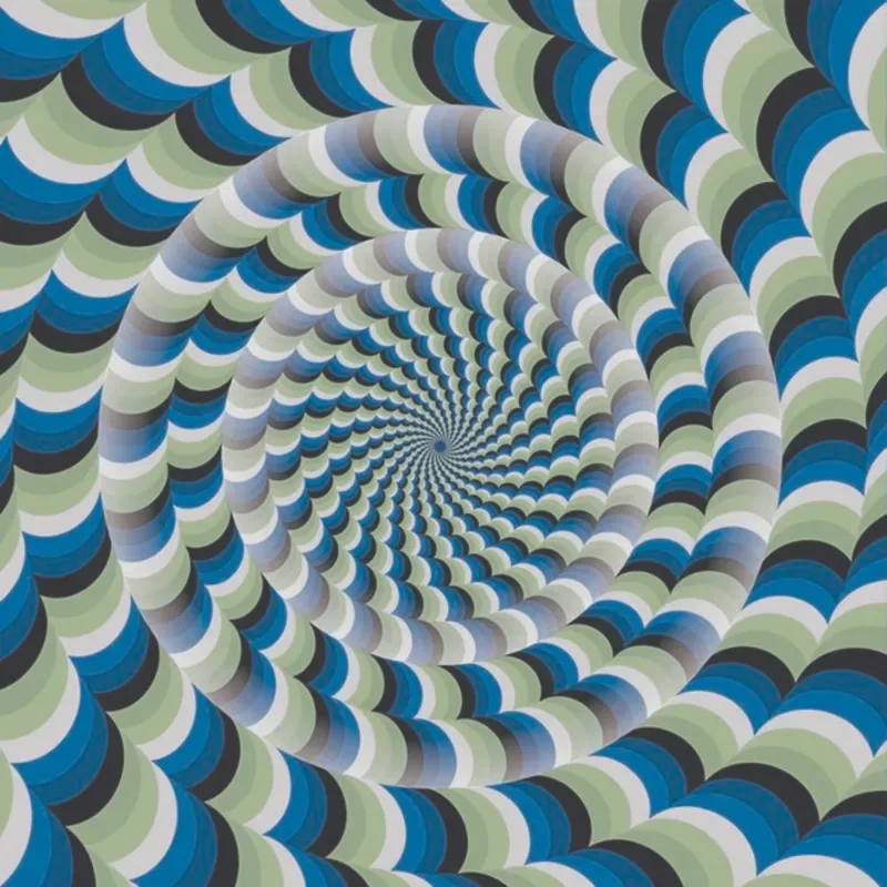 Optical Illusion - 1000 pièces de Magnolia – boîte