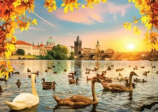 Swans near Charles Bridge - 1000 pièces van Magnolia – doos 1 van 2