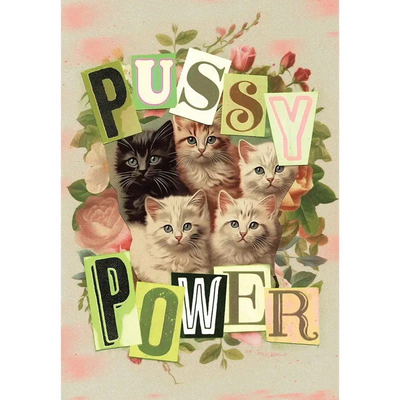 Puzzle Pussy Power - 1000 pièces van Marie-Chantal – doos 1 van 2