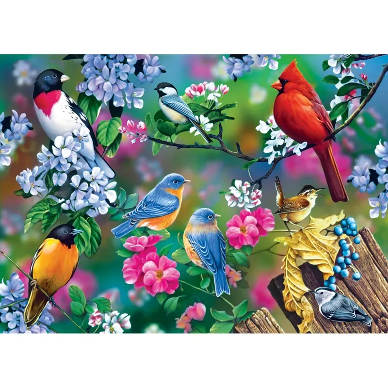 Puzzle Audubon - Collage D'Oiseaux Chanteurs - 1000 pièces fra Master Pieces – æske