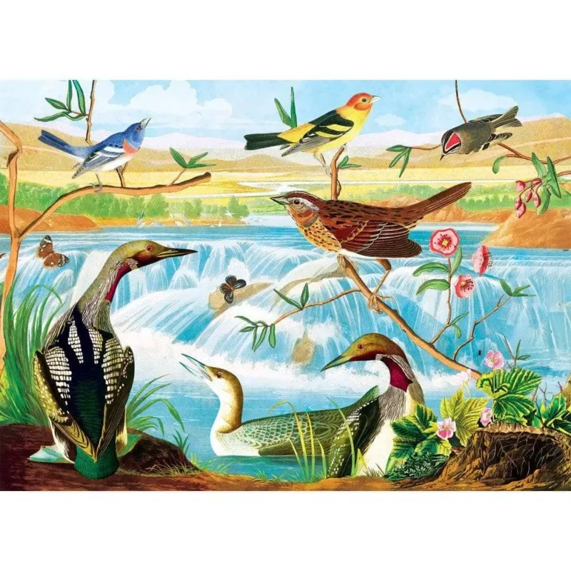 Puzzle Audubon - Harmonie Des Oiseaux Et Des Ruisseaux - 1000 pièces from Master Pieces – box