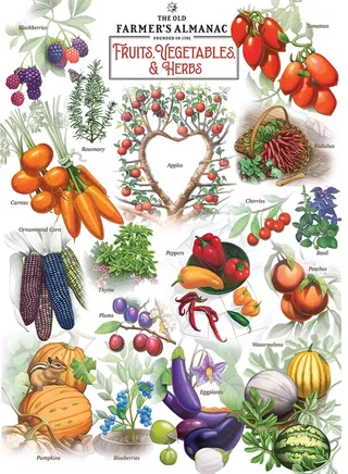 Puzzle Farmer's Almanac - Fruits Et Légumes - 1000 pièces from Master Pieces – box 1 of 2