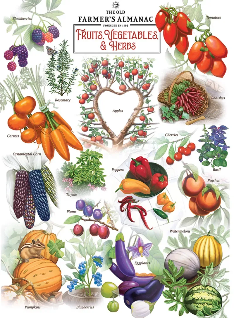 Puzzle Farmer's Almanac - Fruits Et Légumes - 1000 pièces from Master Pieces – box 1 of 2