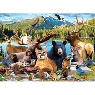 Puzzle National Parks - Rocky Mountain - 500 à 999 pièces fra Master Pieces – æske 1 af 2