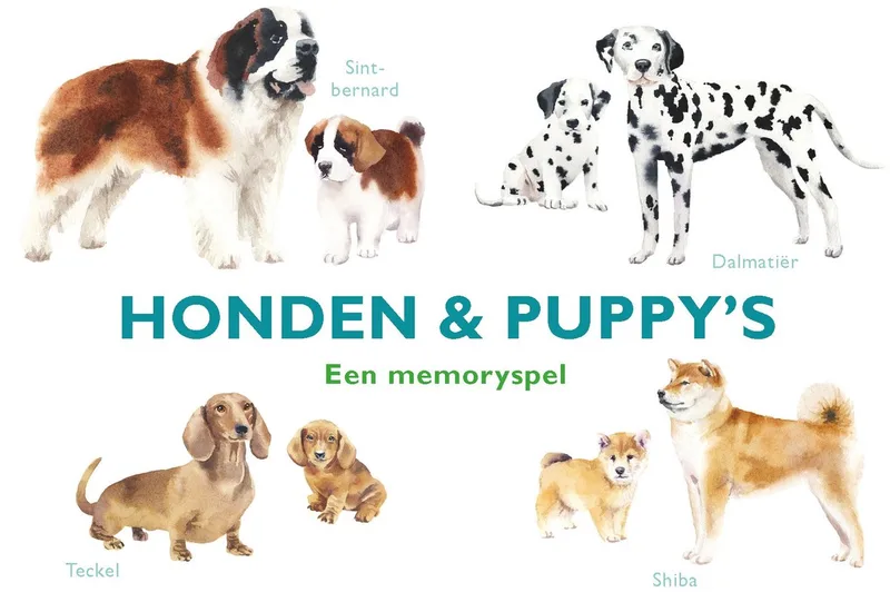 Honden & Puppy's van Megableu – doos
