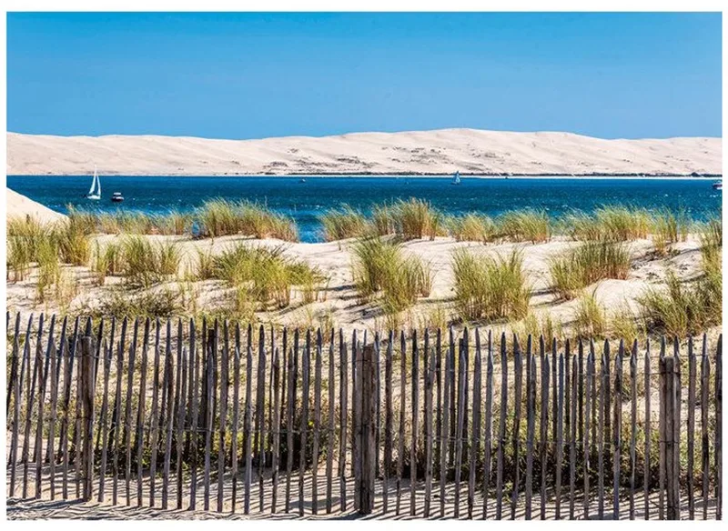 Nathan – 12001879 – Puzzel – 1000 stukjes – Vue sur la Dune von Nathan, Ausgabe Goudgeel – Schachtel