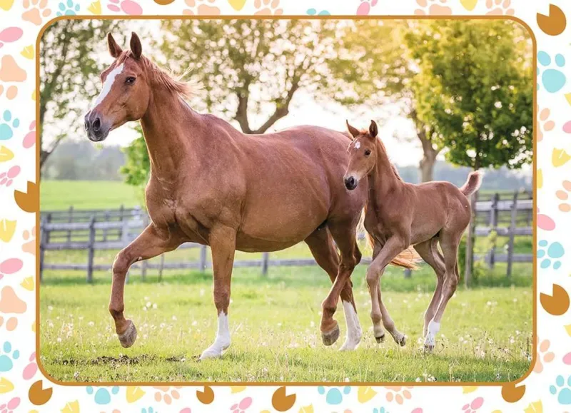 Puzzle Maman et Bébé Cheval - 51 à 99 pièces van Nathan – doos 1 van 2