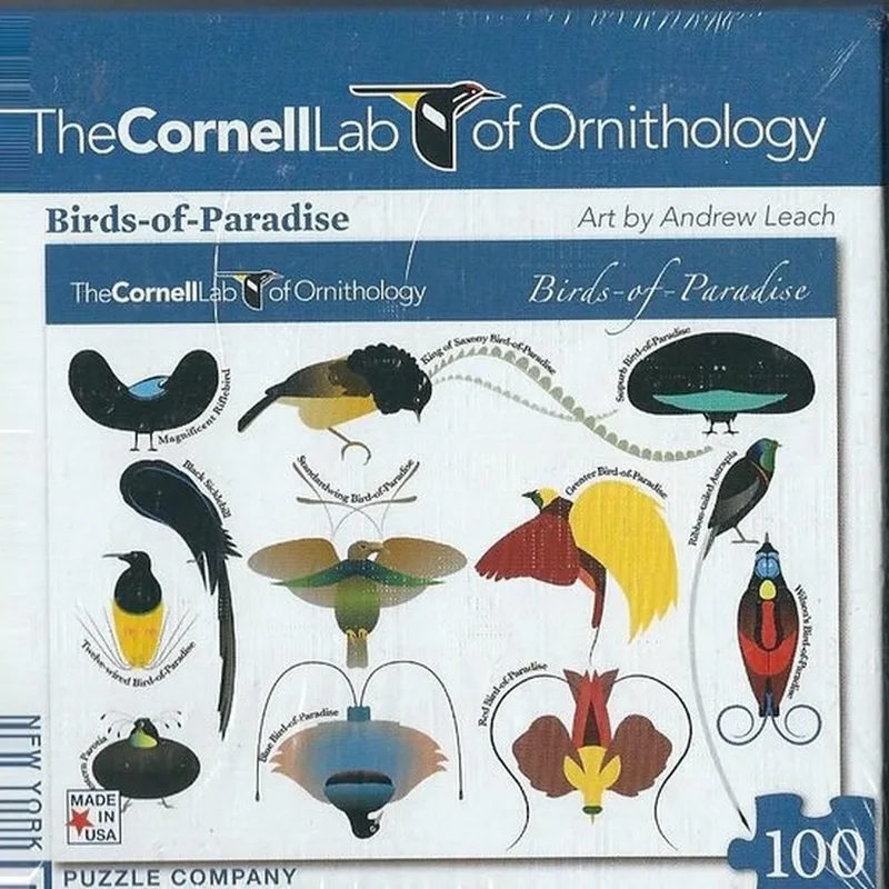 Birds-of-Paradise mini puzzel - 100 stukjes - 0819844013226 van New York Puzzle Company, editie Meerkleurig – doos