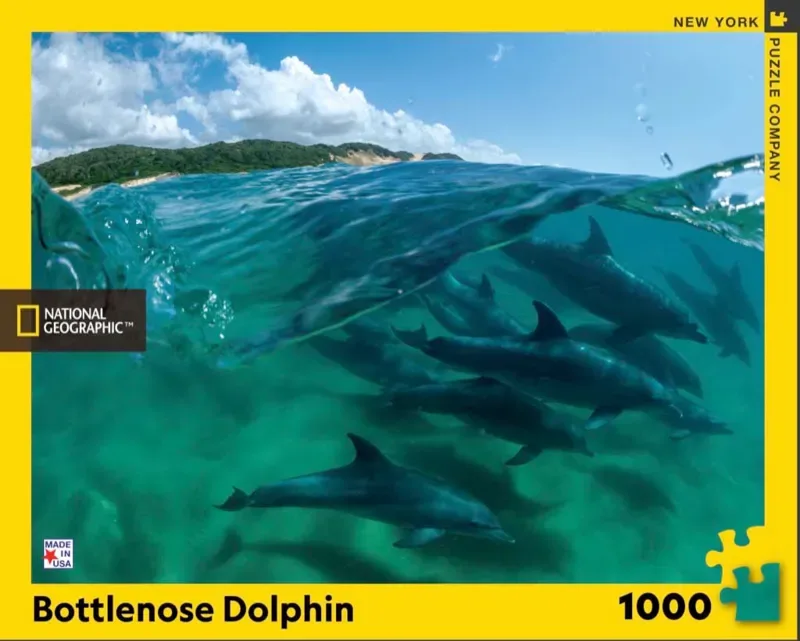 Puzzle Bottlenose Dolphins - 1000 pièces från New York Puzzle Company – kartong 2 av 2