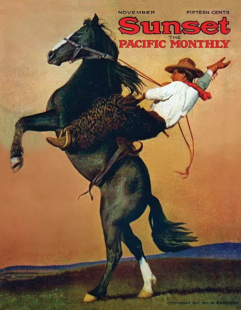 Puzzle Bucking Bronco - 100 à 149 pièces from New York Puzzle Company – box