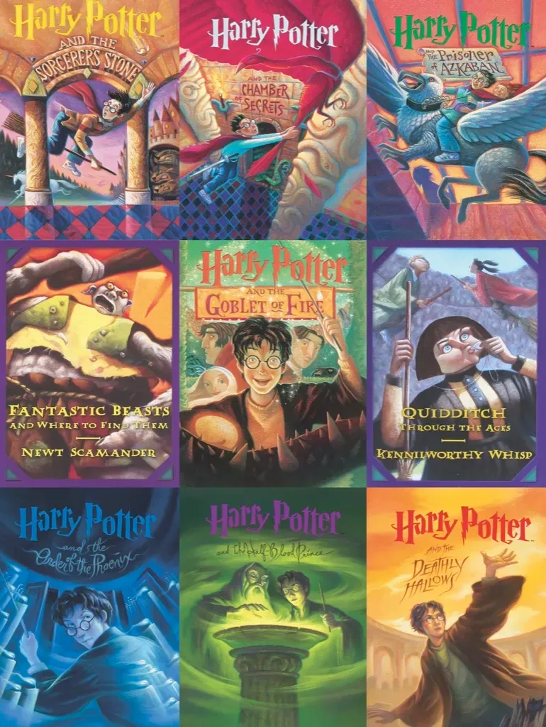 Puzzle Pièces XXL - Harry Potter - Book Cover Collage - 500 à 999 pièces van New York Puzzle Company – doos