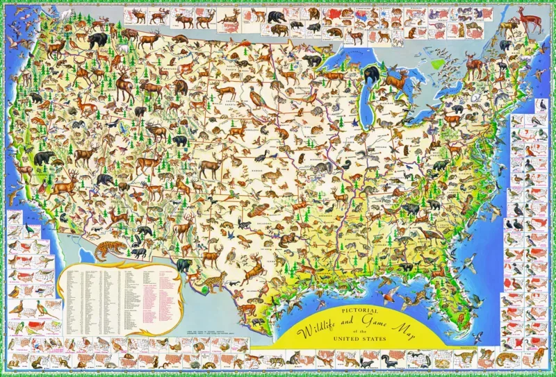 Puzzle Wildlife Map - 2000 pièces van New York Puzzle Company – doos