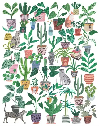 Puzzle Chats et Plantes - 500 à 999 pièces von Pieces & Peace – Schachtel 1 von 2