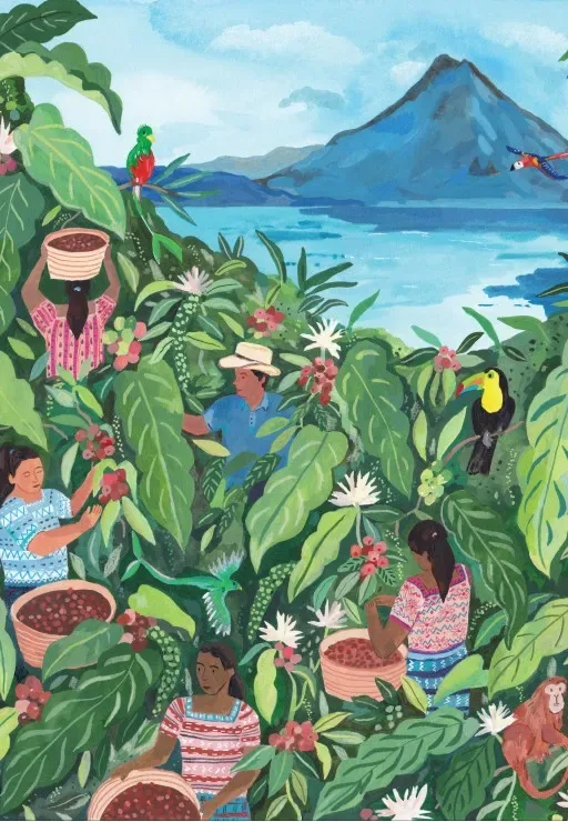 Puzzle Guatemala - 1000 pièces de Pieces & Peace – boîte