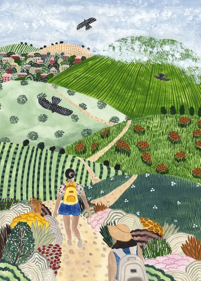 Puzzle Randonnée dans les Vignes - 1000 pièces van Pieces & Peace – doos 1 van 2