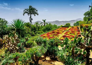 Beautiful Gardens: Botanical Garden, Madeira (1000) from Ravensburger – box 2 of 2