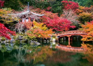 Beautiful Gardens: Daigo-ji, Kyoto, Japan (1000) from Ravensburger – box 2 of 2