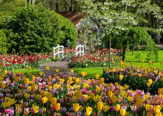 Beautiful Gardens: Keukenhof Gardens, Netherlands (1000) from Ravensburger – box 2 of 2