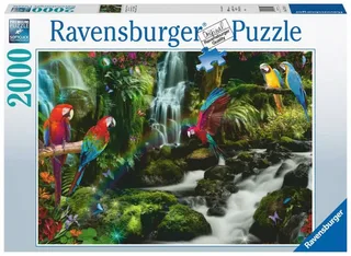 Bonte papegaaien in de jungle (2000) von Ravensburger – Schachtel 2 von 2
