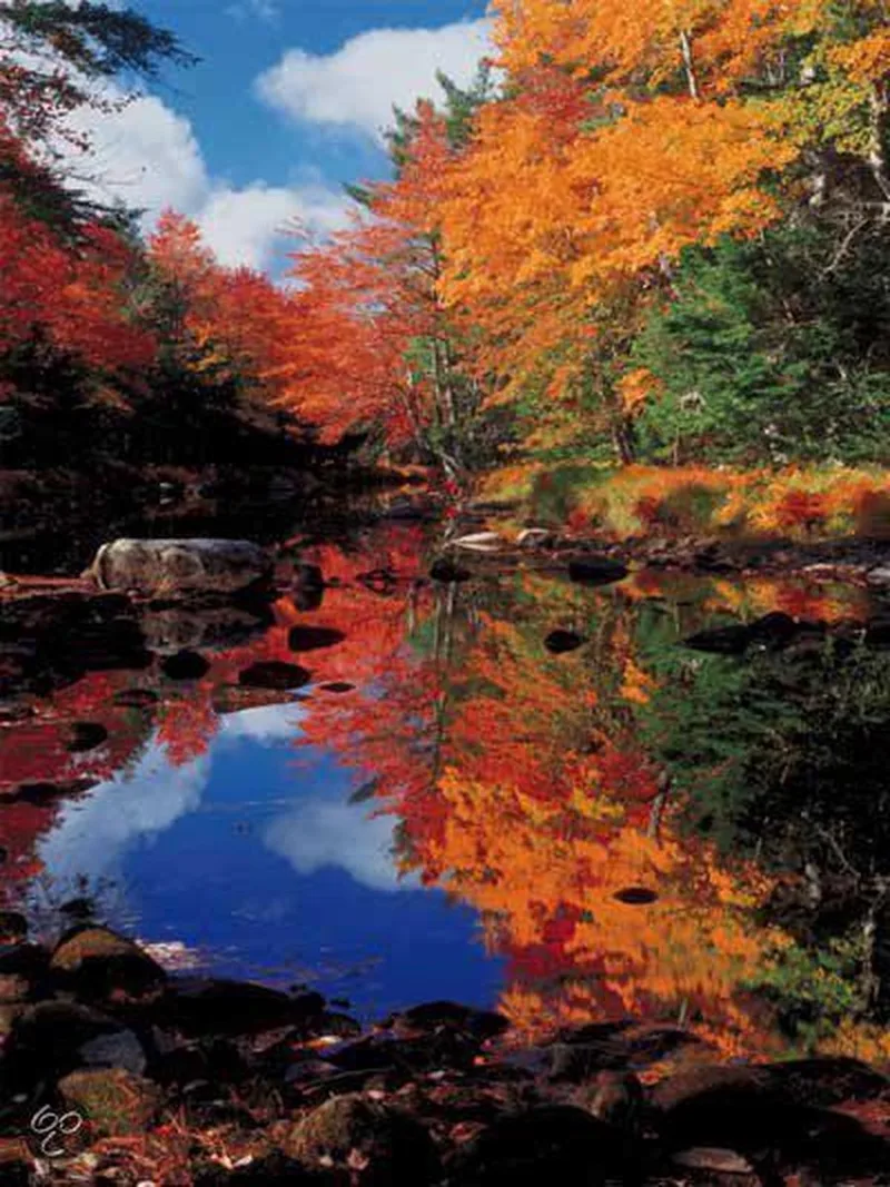 Canada - Indian Summer from Ravensburger – box