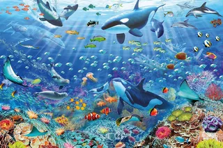 Kleurrijke onderwaterwereld from Ravensburger, Multicolour edition – box 2 of 2