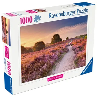 Legpuzzel – 1000 Stukjes – 70 x 50 cm van Ravensburger, editie Meerkleurig – doos 3 van 3