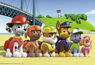 PAW Patrol: Dappere honden - 2x24 stukjes - kinderpuzzel van Ravensburger, editie Meerkleurig – doos 2 van 3