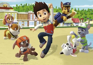 PAW Patrol: Dappere honden - 2x24 stukjes - kinderpuzzel van Ravensburger, editie Meerkleurig – doos 3 van 3