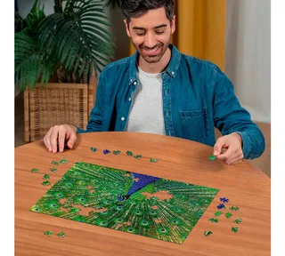 Peacock (500) from Ravensburger – box 3 of 4