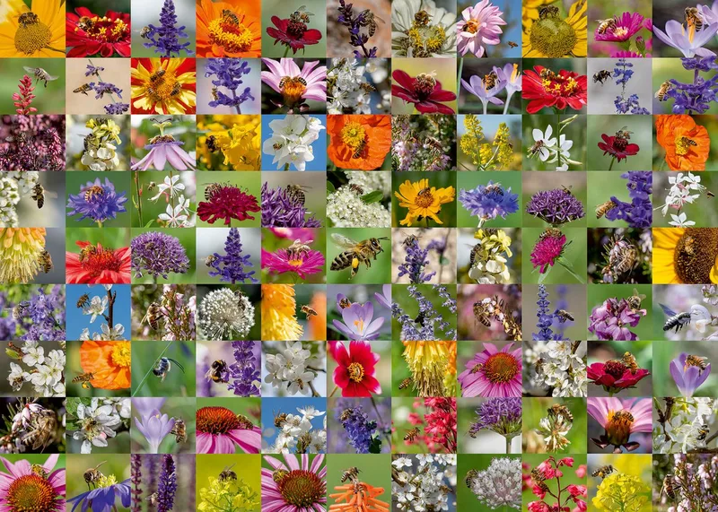 puzzel Bienen - legpuzzel 1000 stukjes bloemen dieren. de Ravensburger, édition Multicolore – boîte 2 sur 2