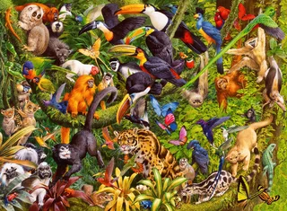 puzzel Bonte jungle - Legpuzzel - 200 XXL stukjes van Ravensburger, editie Meerkleurig – doos 1 van 2