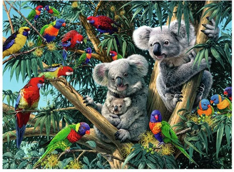 puzzel dieren Koalas in de boom - 500 stukjes. from Ravensburger, Multicolour edition – box 1 of 2