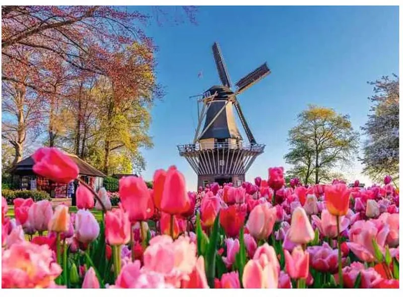 puzzel Keukenhof Nederland 1000 stukjes legpuzzel. van Ravensburger, editie Meerkleurig – doos