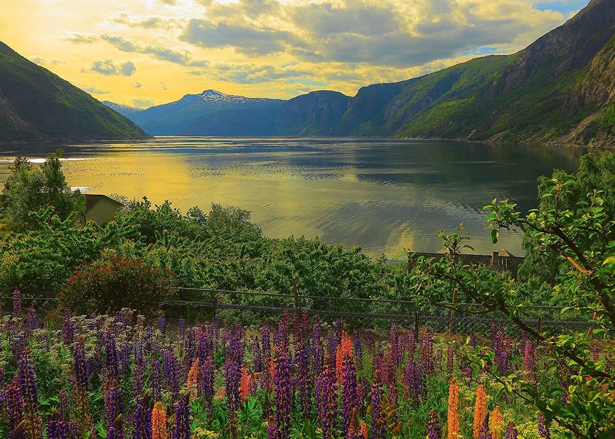 puzzel Norwegian Fjord - 1000 stukjes. van Ravensburger, editie Meerkleurig – doos