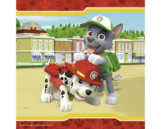 puzzel PAW Patrol: Helden met vacht - 3x49 stukjes - kinderpuzzel from Ravensburger, Multicolour edition – box 3 of 4
