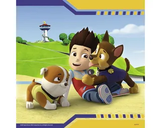 puzzel PAW Patrol: Helden met vacht - 3x49 stukjes - kinderpuzzel from Ravensburger, Multicolour edition – box 2 of 4